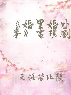 《婚里婚外那些事》电视剧