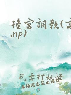 后宫调教(高h,np)