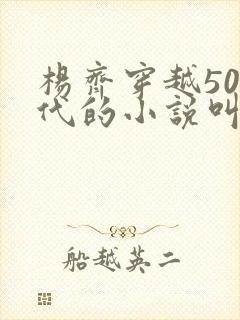 杨齐穿越50年代的小说叫什么名字