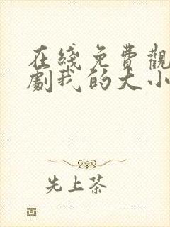 在线免费观看短剧我的大小姐老婆