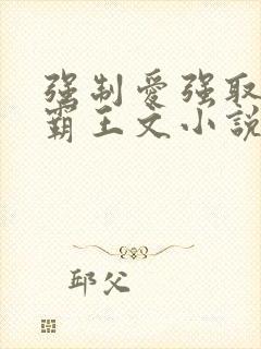 强制爱强取豪夺霸王文小说