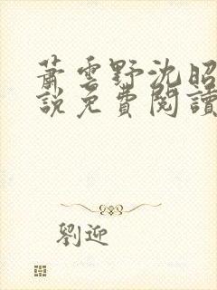 萧云野沈昭宁小说免费阅读最新章节