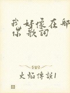 我好像在哪见过你 歌词