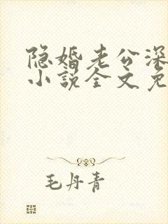 隐婚老公深夜来小说全文免费阅读