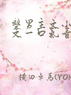 双男主文小说推文一口气看完