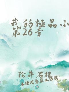 我的极品小姨 第26章