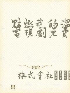 点燃我的温暖你电视剧免费观看