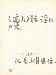 (高h)玩淫np文