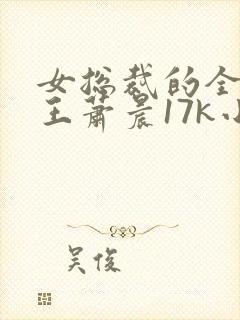 女总裁的全能兵王萧晨17k小说网