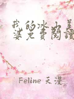 我的冰山美女老婆免费阅读正版
