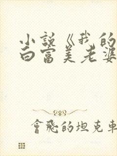 小说《我的总裁白富美老婆》