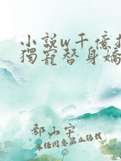 小说w千亿总裁独宠替身娇妻》