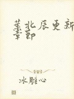 叶北辰更新最快章节