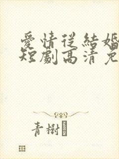 爱情从结婚开始短剧高清免费播放