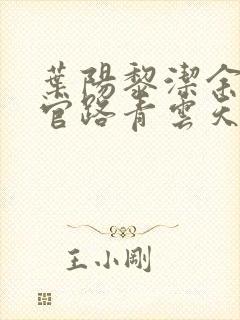 叶阳黎洁余秋水官路青云天骄小说