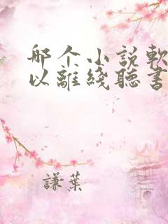 哪个小说软件可以离线听书