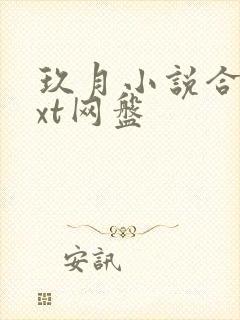 玖月小说合集txt网盘