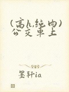 (高h,纯肉)公交车上