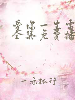 爱你一生电视剧全集免费播放高清