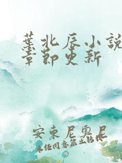 叶北辰小说最新章节更新