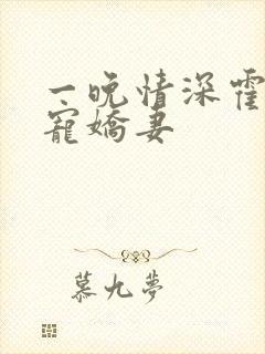 一晚情深霍少溺宠娇妻