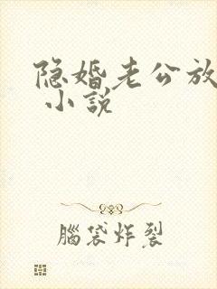 隐婚老公放肆宠 小说