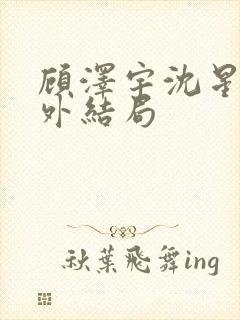 顾泽宇沈星晚番外结局