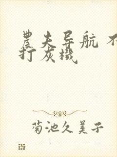 农夫导航 不准打灰机