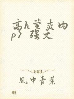 高h荤爽肉〈np〉强文