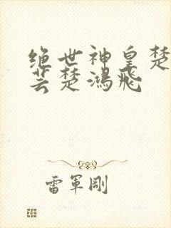 绝世神皇楚风楚芸楚鸿飞