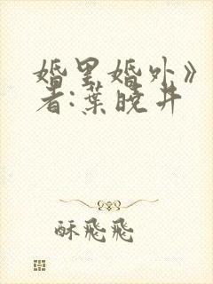 婚里婚外》 作者:叶晓井