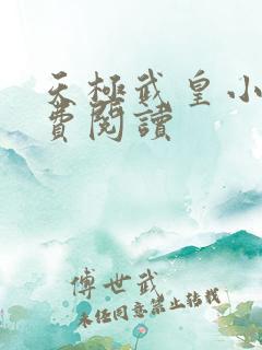 天极武皇小说免费阅读