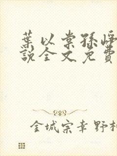 叶以棠孙峥宇小说全文免费阅读