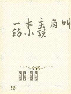 一本主角叫林萧的小说