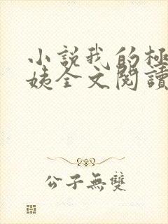 小说我的极品小姨全文阅读