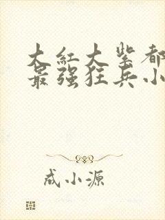 大红大紫都市之最强狂兵小说