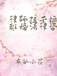 律师孩子抚养权离婚法律咨询