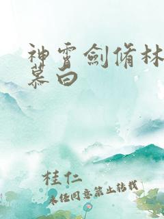 神霄剑修林枫苏慕白