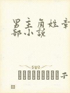 男主角姓章的全部小说