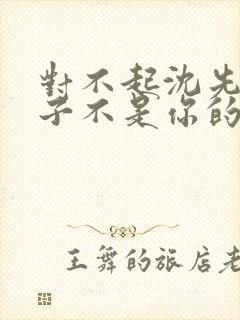 对不起沈先生孩子不是你的短剧免费