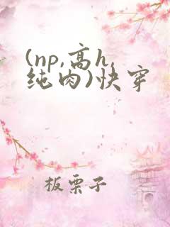 (np,高h,纯肉)快穿