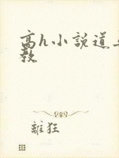 高h小说道具调教