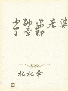 少帅你老婆又跑了章节