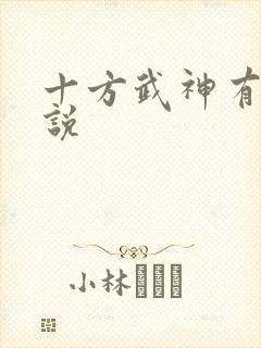 十方武神有声小说