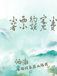 小西约定小说原著小说免费阅读