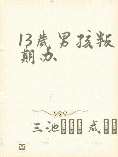 13岁男孩叛逆期办