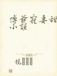 傅爷宠妻甜入骨小说