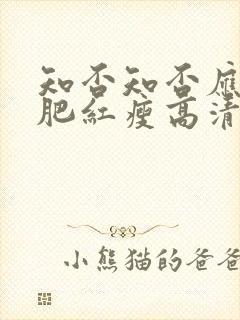 知否知否应是绿肥红瘦高清免费