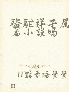 骆驼祥子属于长篇小说吗