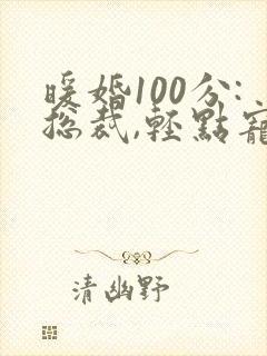 暖婚100分:总裁,轻点宠小说